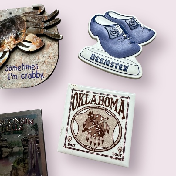 Lot Of 14 Travel Souvenir Refrigerator Magnets Las Vegas Crab Bird Etc - Picture 6 of 13